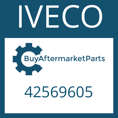 42569605 IVECO SLOTTED NUT