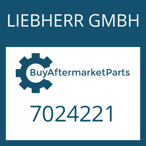 7024221 LIEBHERR GMBH WASHER