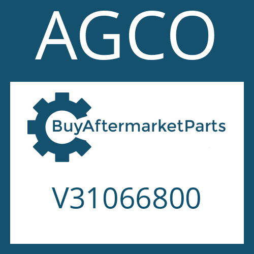 V31066800 AGCO WASHER