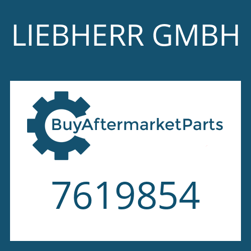 7619854 LIEBHERR GMBH WASHER