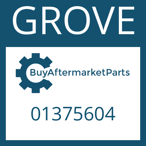 01375604 GROVE WASHER