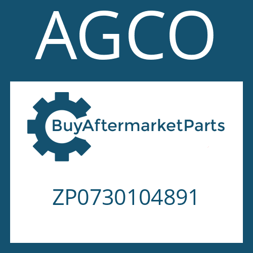 ZP0730104891 AGCO WASHER