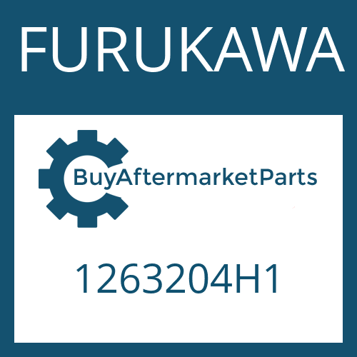 1263204H1 FURUKAWA WASHER