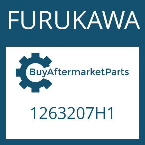 1263207H1 FURUKAWA WASHER