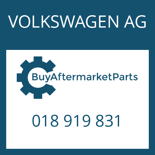 018 919 831 VOLKSWAGEN AG O-RING