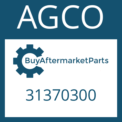 31370300 AGCO WELLENDICHTRING