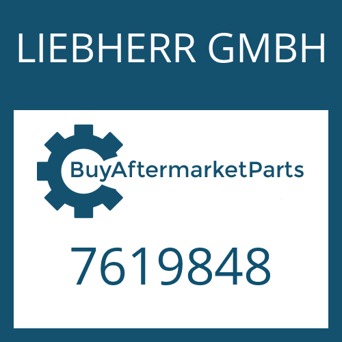 7619848 LIEBHERR GMBH PISTON GUIDE