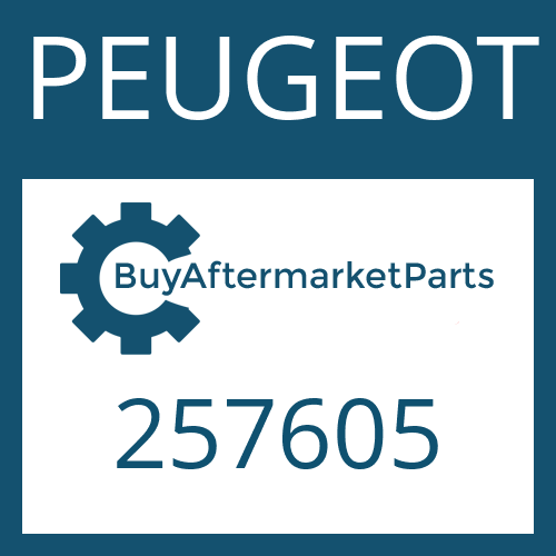 257605 PEUGEOT GUIDE SHEET