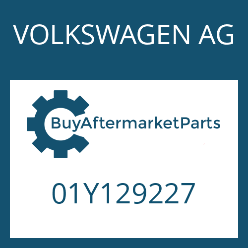 01Y129227 VOLKSWAGEN AG VALVE ORIFICE