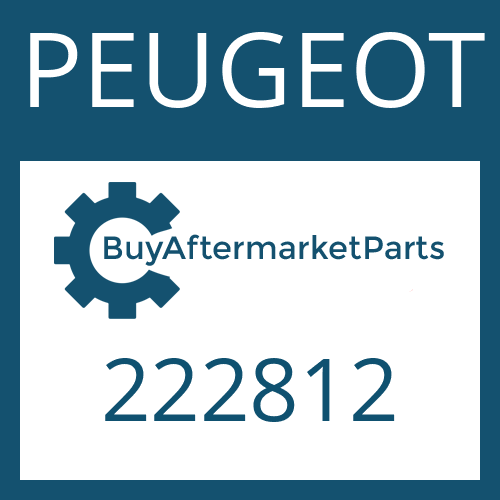 222812 PEUGEOT REPAIR KIT