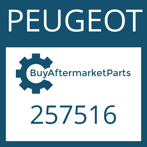 257516 PEUGEOT WASHER