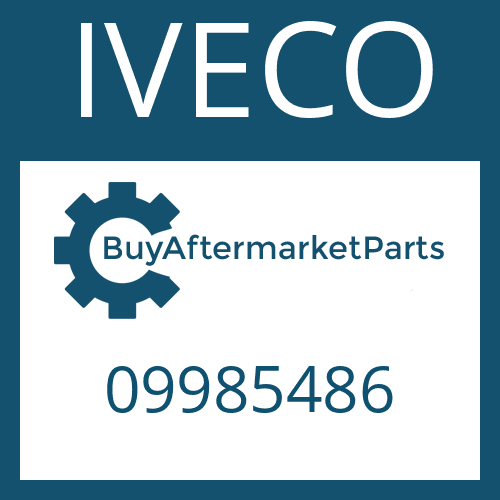 09985486 IVECO CENTERING RING