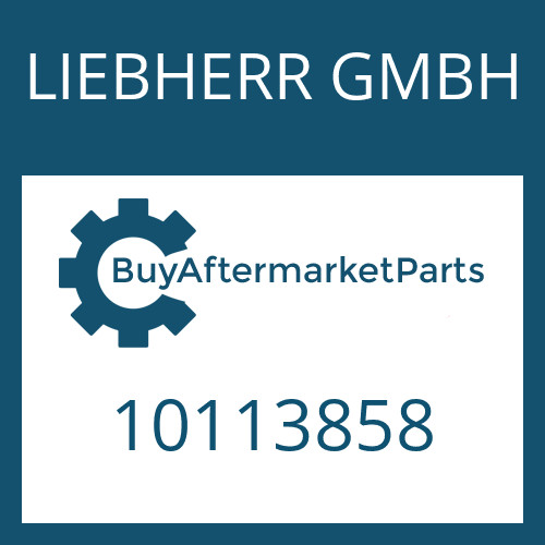 10113858 LIEBHERR GMBH INPUT GEAR