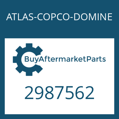 2987562 ATLAS-COPCO-DOMINE INPUT FLANGE