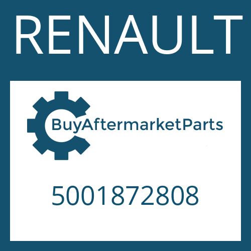 5001872808 RENAULT SLOTTED NUT