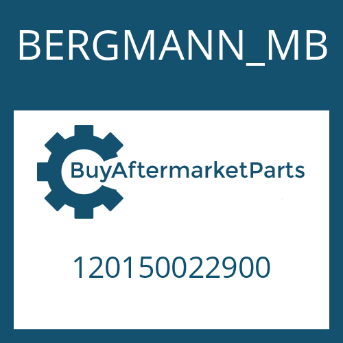 120150022900 BERGMANN_MB CONTROL UNIT