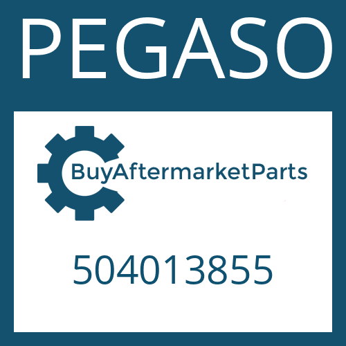 504013855 PEGASO CABLE IT