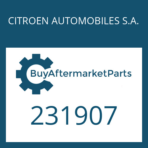 231907 CITROEN AUTOMOBILES S.A. PISTON