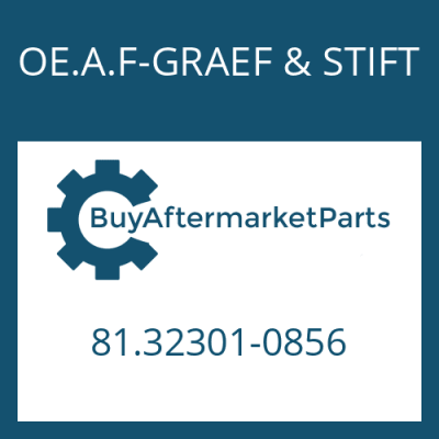 81.32301-0856 OE.A.F-GRAEF & STIFT HELICAL GEAR