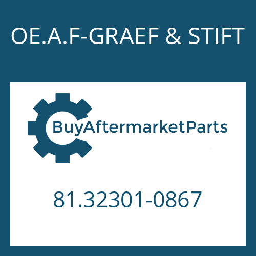 81.32301-0867 OE.A.F-GRAEF & STIFT HELICAL GEAR