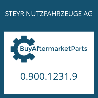 0.900.1231.9 STEYR NUTZFAHRZEUGE AG WASHER