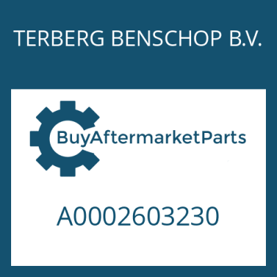 A0002603230 TERBERG BENSCHOP B.V. SHIFT CLAMP