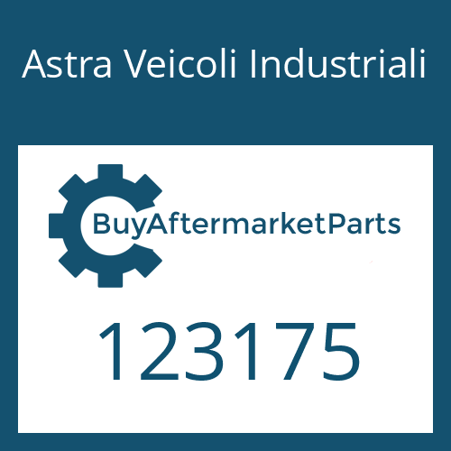 123175 Astra Veicoli Industriali LOCKING SCREW