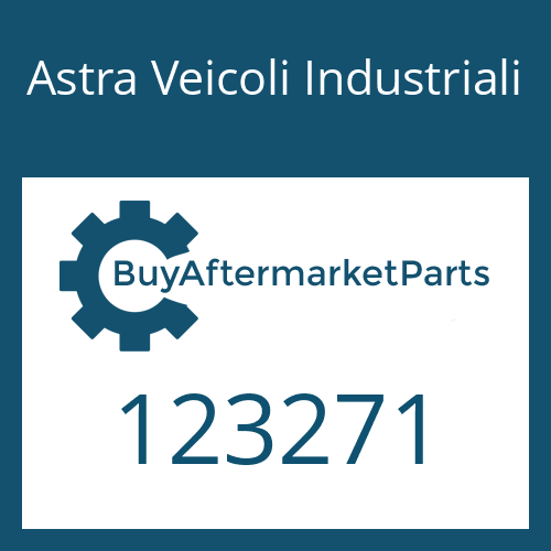 123271 Astra Veicoli Industriali SNAP RING