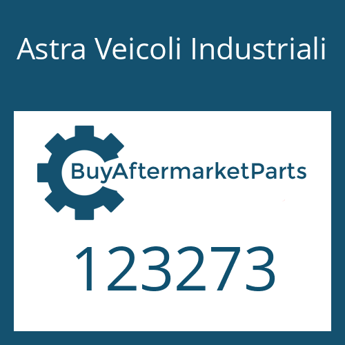 123273 Astra Veicoli Industriali SNAP RING