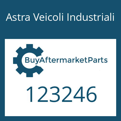 123246 Astra Veicoli Industriali LOCKING PIECE