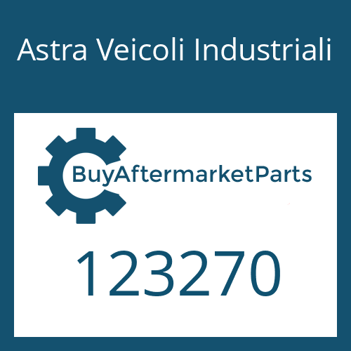 123270 Astra Veicoli Industriali GASKET