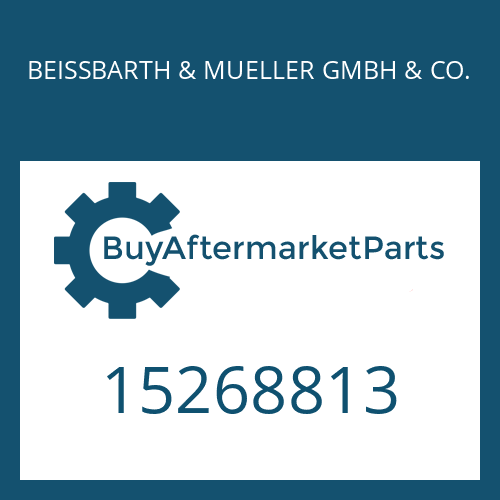 15268813 BEISSBARTH & MUELLER GMBH & CO. SHIM PLATE