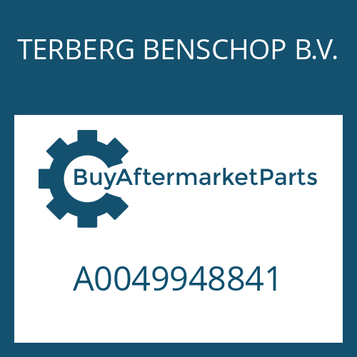 A0049948841 TERBERG BENSCHOP B.V. RETAINING RING