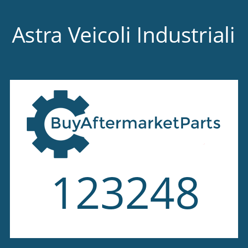 123248 Astra Veicoli Industriali RETAINING RING