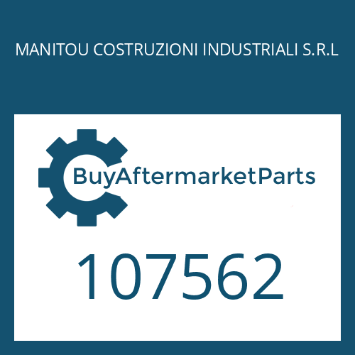 107562 MANITOU COSTRUZIONI INDUSTRIALI S.R.L RETAINING RING