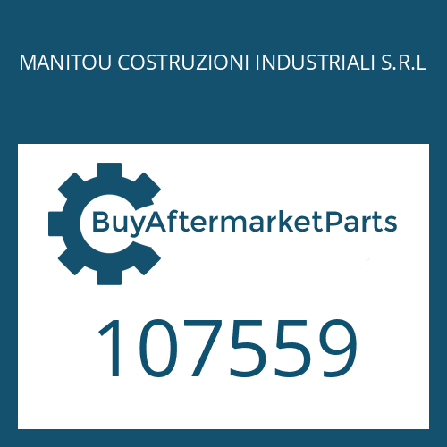 107559 MANITOU COSTRUZIONI INDUSTRIALI S.R.L RETAINING RING