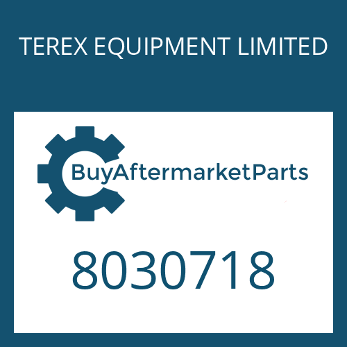 8030718 TEREX EQUIPMENT LIMITED WASHER