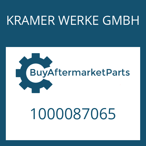 1000087065 KRAMER WERKE GMBH WASHER