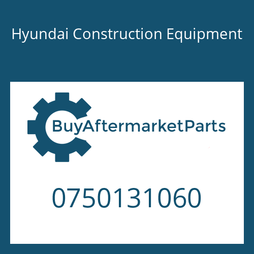 0750131060 Hyundai Construction Equipment EXCHANGE FILTER