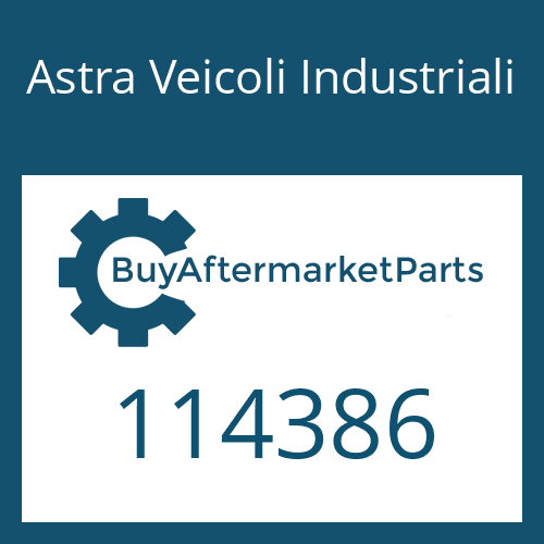 114386 Astra Veicoli Industriali SEALING RING KIT