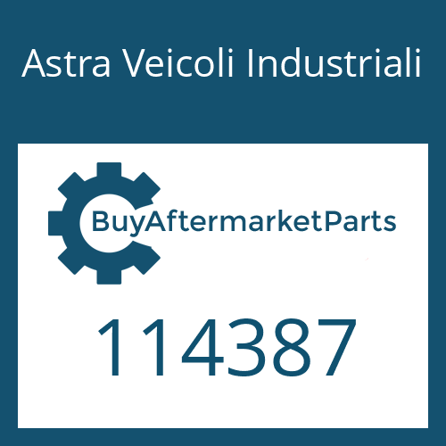 114387 Astra Veicoli Industriali SEALING RING KIT
