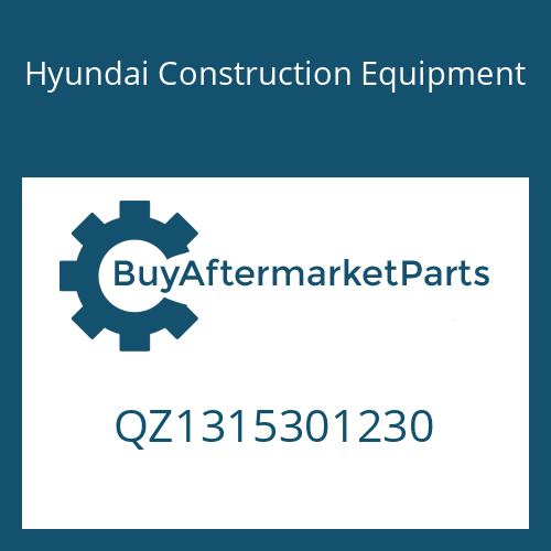 QZ1315301230 Hyundai Construction Equipment CLOSING CAP