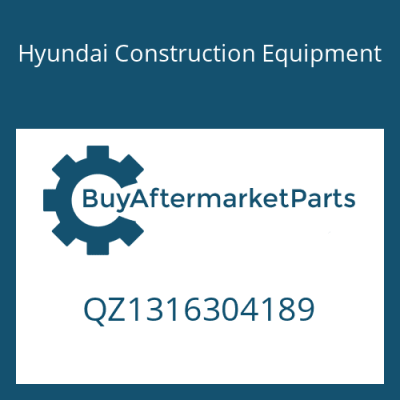 QZ1316304189 Hyundai Construction Equipment SYNCHRO.RING