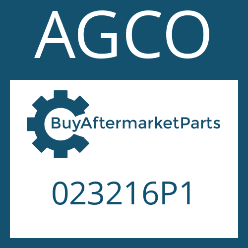 023216P1 AGCO AXIAL NEEDLE CAGE