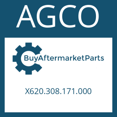 X620.308.171.000 AGCO ROLLER BEARING