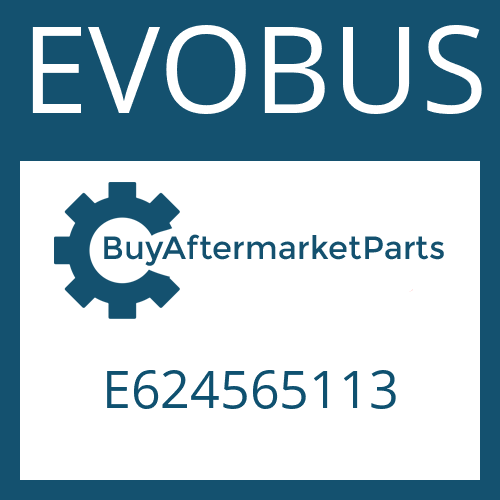 E624565113 EVOBUS INTERMEDIATE WASHER