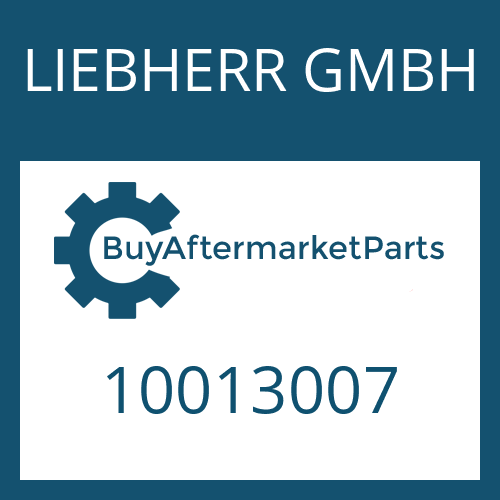 10013007 LIEBHERR GMBH BEVEL GEAR SET