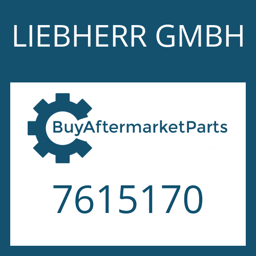 7615170 LIEBHERR GMBH SPACER RING