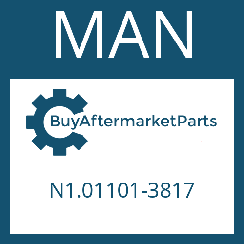 N1.01101-3817 MAN CYLINDER ROLLER BEARING