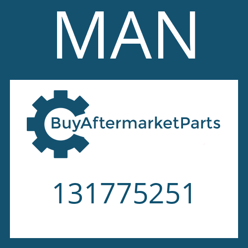 131775251 MAN PISTON